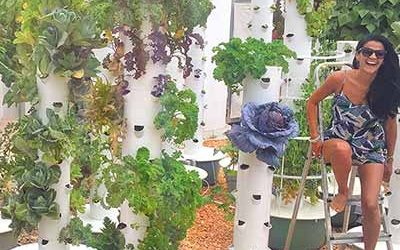 Tower Garden technology for Vertical Gardens & Vertical farms